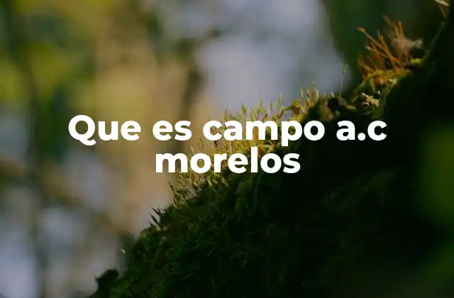 Que es Campo A.c Morelos