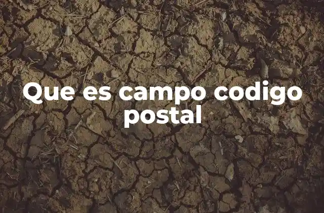 La importancia del campo código postal en el envío de paquetos
