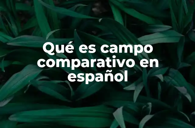 Qué es Campo Comparativo en Español