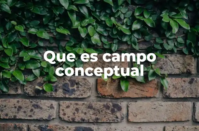 Que es Campo Conceptual