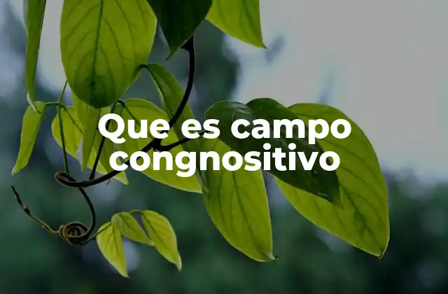 Que es Campo Congnositivo