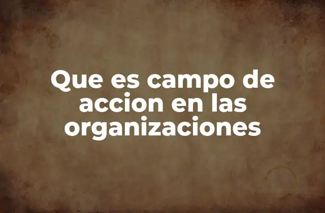 Que es Campo de Accion en las Organizaciones