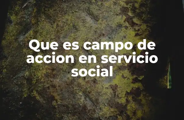 Que es Campo de Accion en Servicio Social