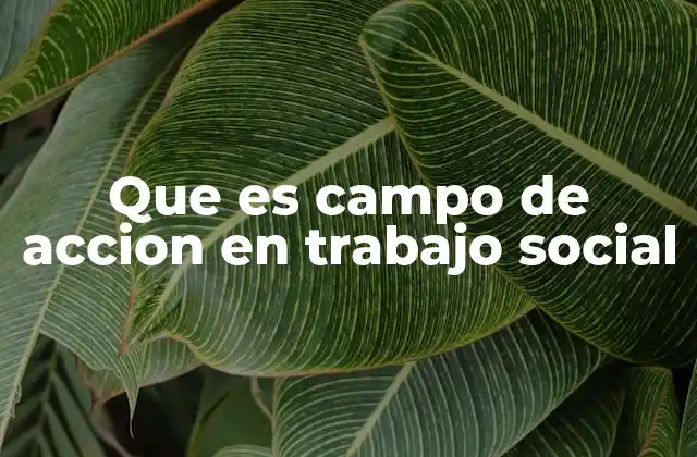 Que es Campo de Accion en Trabajo Social