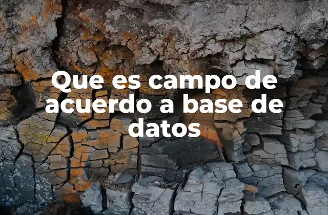 Que es Campo de Acuerdo a Base de Datos