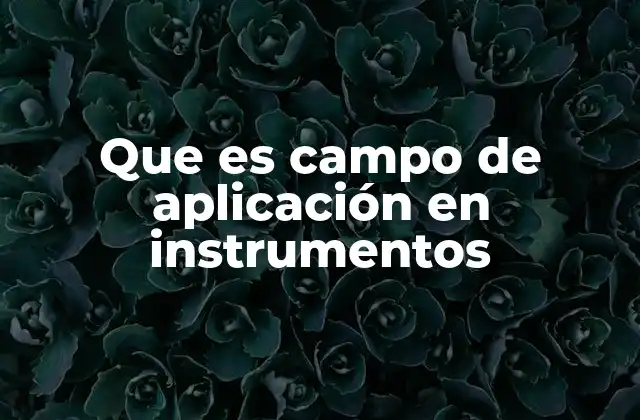 Que es Campo de Aplicación en Instrumentos