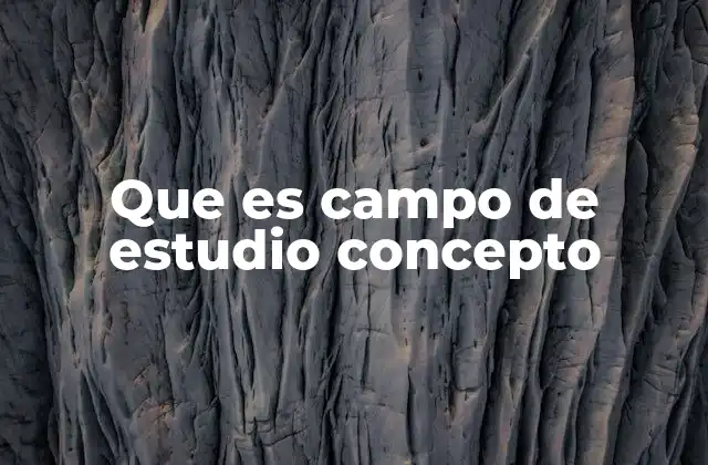 Que es Campo de Estudio Concepto 2 La importancia de delimitar un campo de estudio