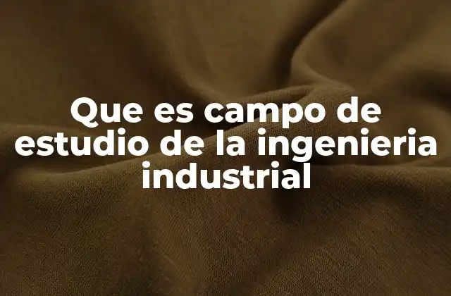 Que es Campo de Estudio de la Ingenieria Industrial 2 La importancia de los sistemas complejos en la ingeniería industrial