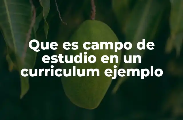 Que es Campo de Estudio en un Curriculum Ejemplo