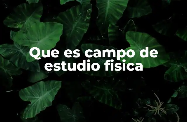 Que es Campo de Estudio Fisica