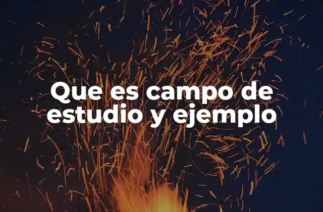 Que es Campo de Estudio y Ejemplo 2 La importancia de los campos de estudio en la educación superior