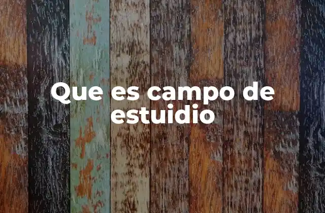 Que es Campo de Estuidio