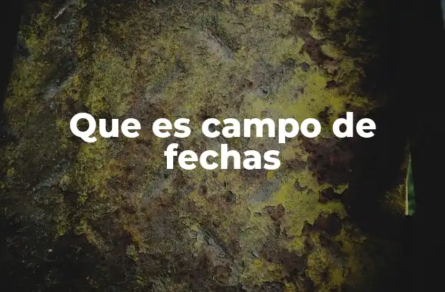 Que es Campo de Fechas 2 La importancia de gestionar información temporal