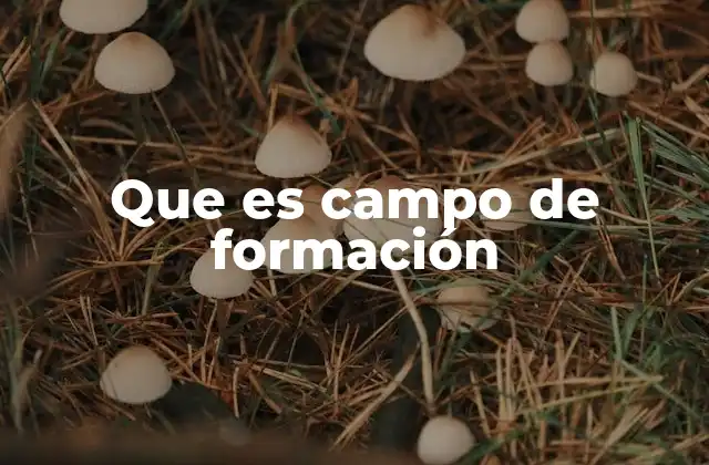 Que es Campo de Formación