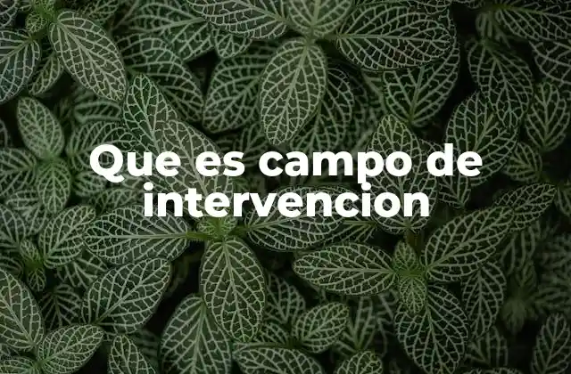 Que es Campo de Intervencion