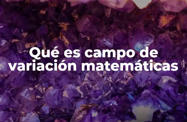 Qué es Campo de Variación Matemáticas