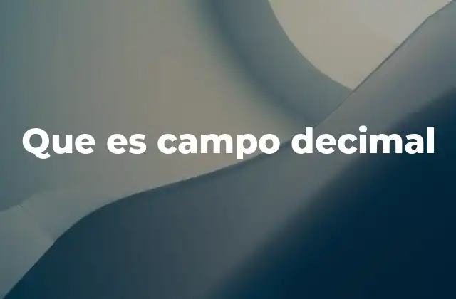 Que es Campo Decimal