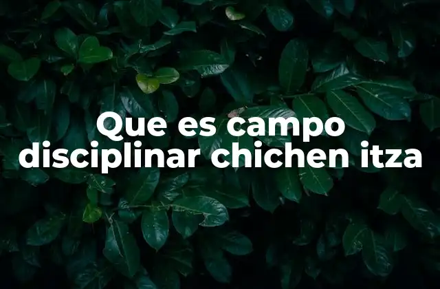 Que es Campo Disciplinar Chichen Itza 2 El enfoque interdisciplinario en la investigación del sitio Chichén Itzá