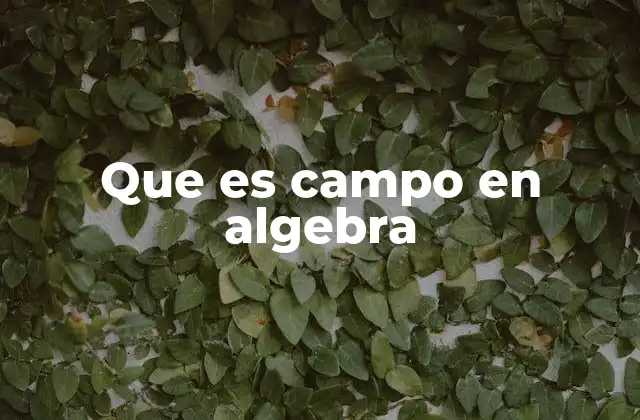 Características esenciales de una estructura algebraica de campo