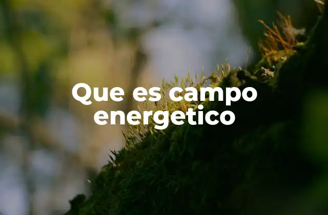 Que es Campo Energetico