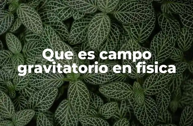 Cómo se describe el campo gravitatorio