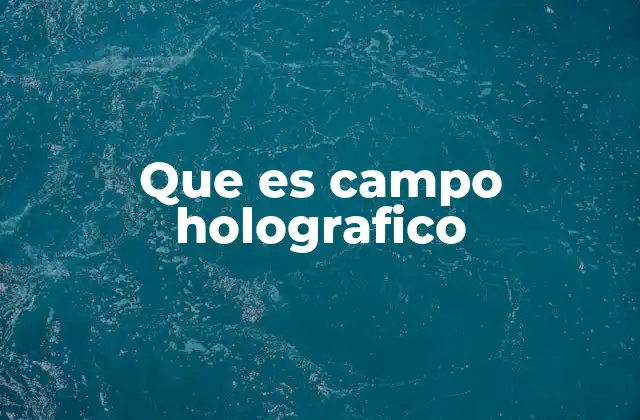 Que es Campo Holografico