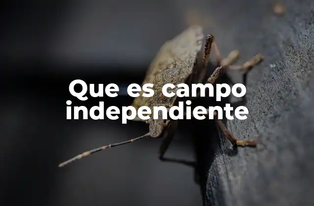 Que es Campo Independiente