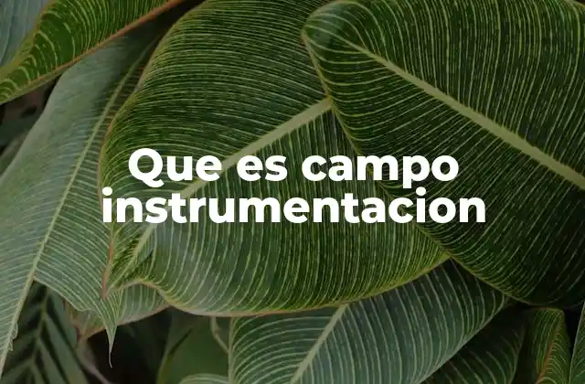 Que es Campo Instrumentacion
