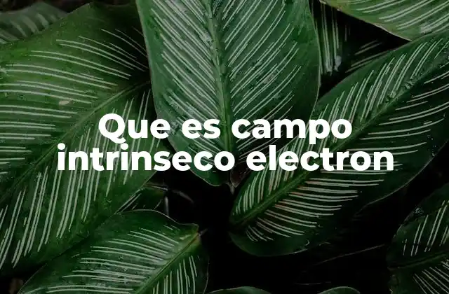 Que es Campo Intrinseco Electron