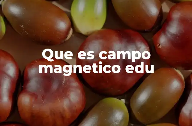 Que es Campo Magnetico Edu