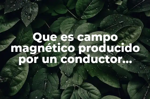 Características del campo magnético alrededor de un conductor rectilíneo
