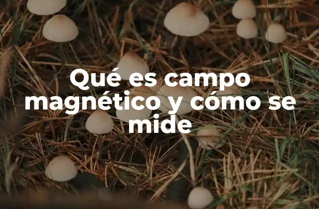 Qué es Campo Magnético y Cómo Se Mide