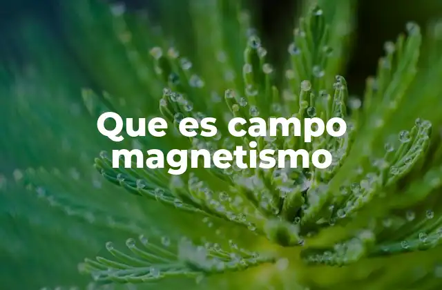 Que es Campo Magnetismo