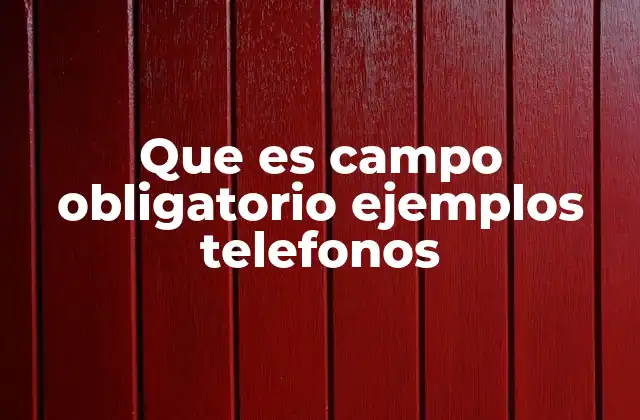 Que es Campo Obligatorio Ejemplos Telefonos