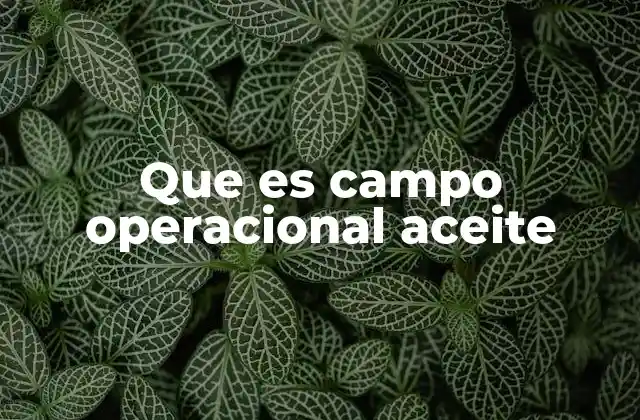 Que es Campo Operacional Aceite 2 La importancia de los campos operacionales en la economía energética