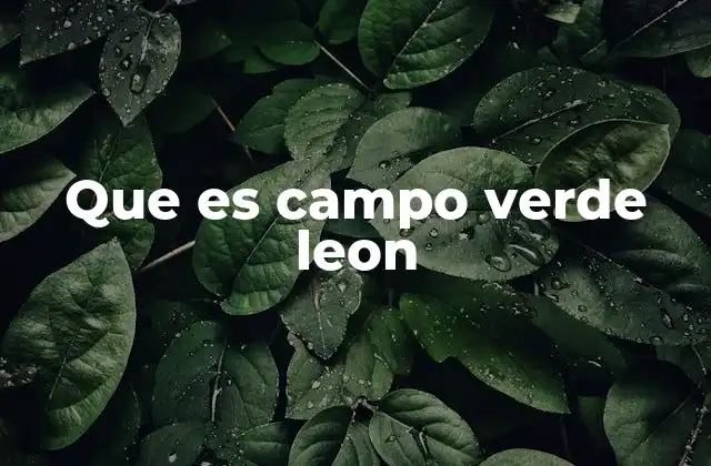 Que es Campo Verde Leon