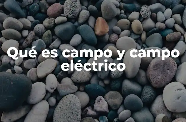 Qué es Campo y Campo Eléctrico