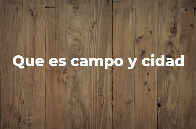 Que es Campo y Cidad
