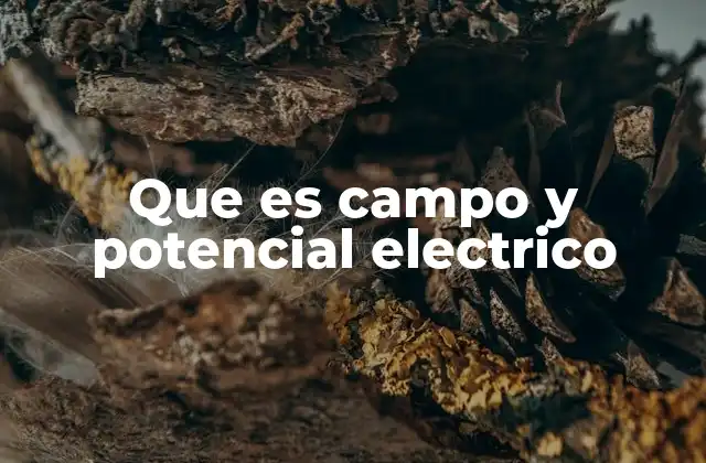 Que es Campo y Potencial Electrico