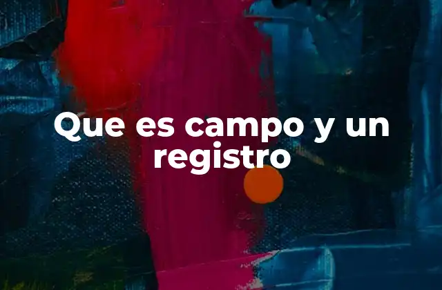 Que es Campo y un Registro