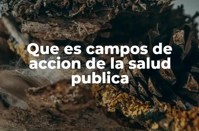 Que es Campos de Accion de la Salud Publica