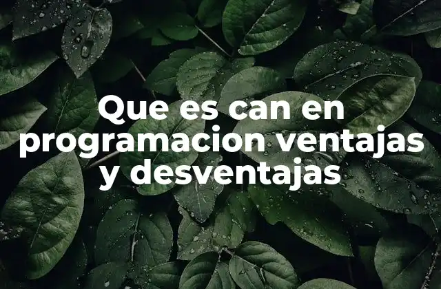 Que es Can en Programacion Ventajas y Desventajas