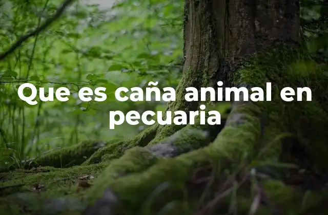 Que es Caña Animal en Pecuaria 2 La importancia de los dispositivos de contención en la ganadería