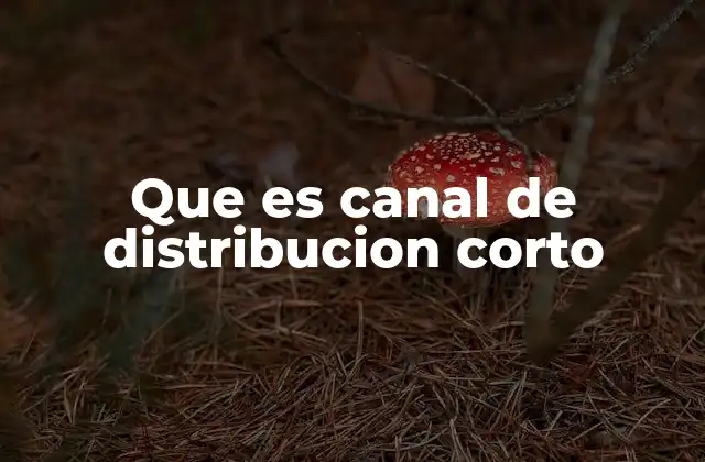 Que es Canal de Distribucion Corto