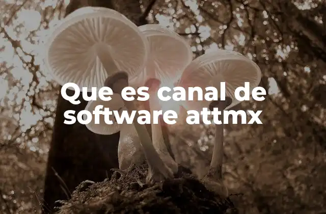 Cómo funciona el canal de software ATTMX