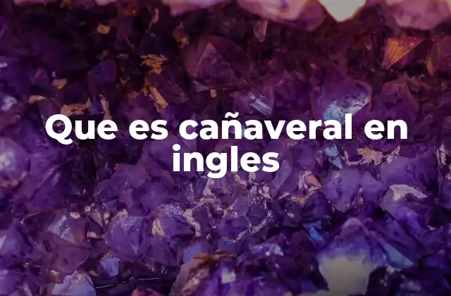Que es Cañaveral en Ingles