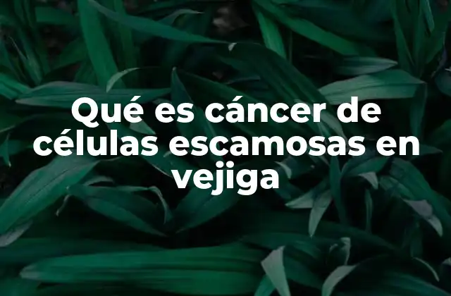 Qué es Cáncer de Células Escamosas en Vejiga 2 Causas y factores de riesgo asociados al cáncer de células escamosas en vejiga