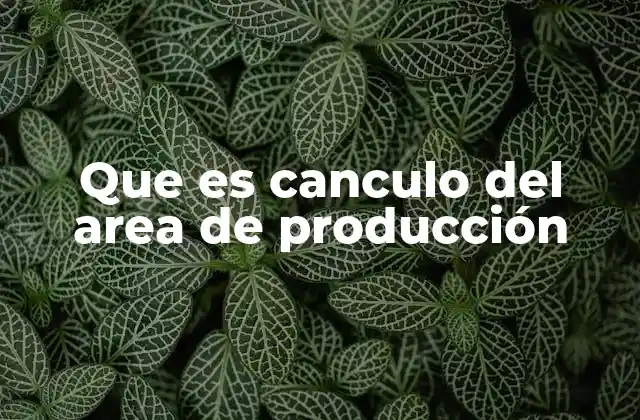 La importancia de calcular el área de producción