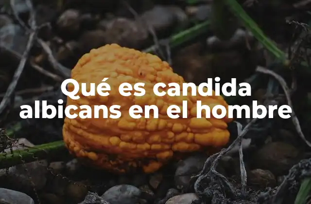 Qué es Candida Albicans en el Hombre