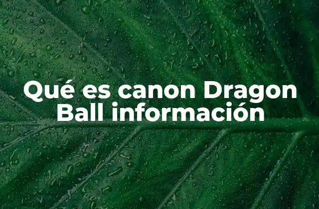 Qué es Canon Dragon Ball Información